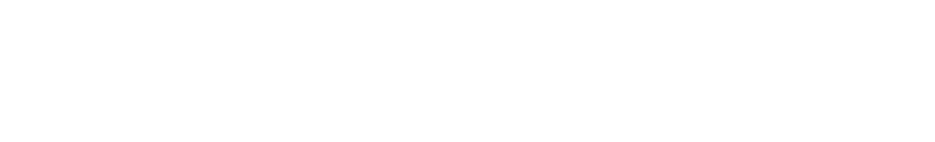 Data & AI Platform Solutions
